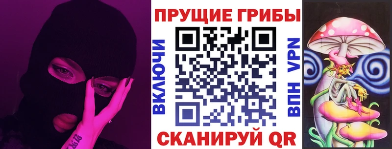 Галлюциногенные грибы Psilocybe  сколько стоит  Буинск 